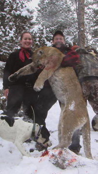 1-Utah Mountain Lion